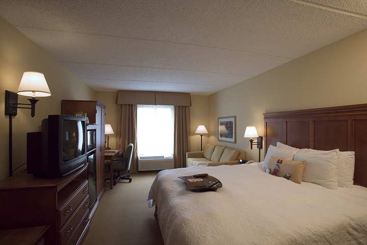 Hampton Inn Atlanta-Northlake Тъкър Стая снимка